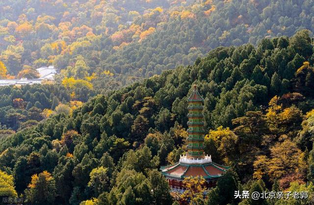 周末香山赏红叶保姆攻略