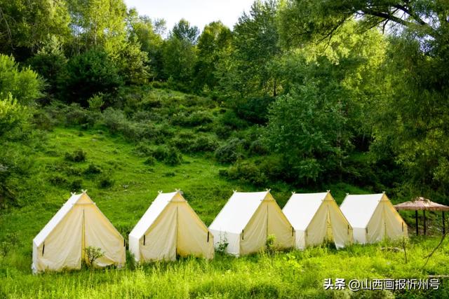 忻府区道东沟风景区正式开门迎客,景区内多种业态全面招商!