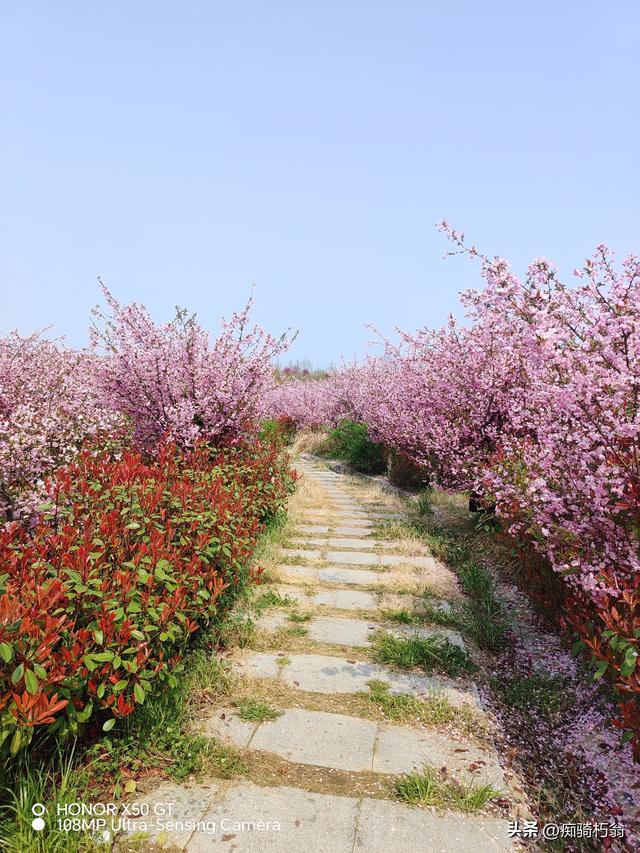 最美最妩媚，人间四月天