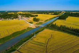 张兰英（山东乐陵）纪实散文 ：马颊河记忆图片