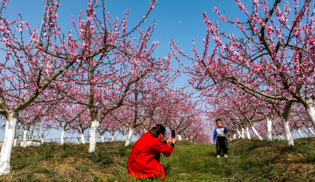 看不完，根本看不完！