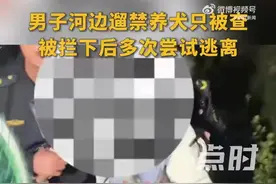 男子遛禁养犬被查后带狗飞奔逃跑 执法人员狂追拦停图片