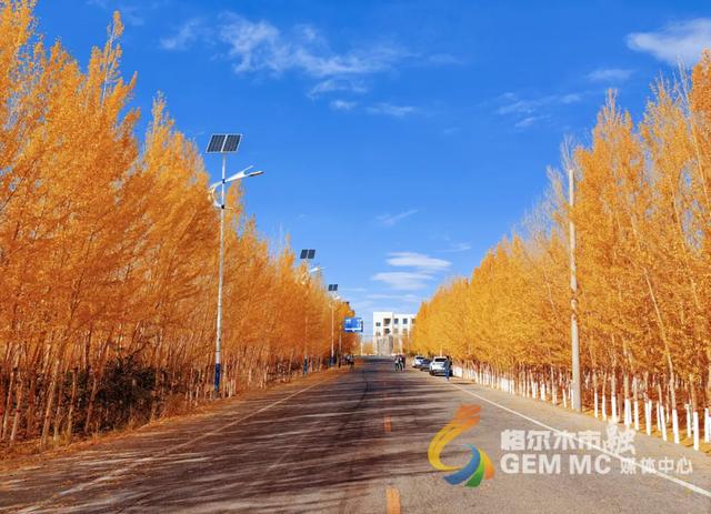 收藏！格尔木秋日美景，这份视觉盛宴千万别错过