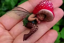 回顾：新疆发现“红柳娃”，外貌和人一样仅1尺高，小人族真存在图片