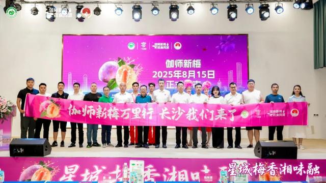 精彩回顾：2025中国新疆喀什·伽师新梅万里行宣传推介活动成都站、长沙站高光图集来啦！