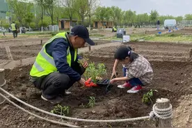 “共享菜园”为中国城市居民提供“心灵栖息地”图片