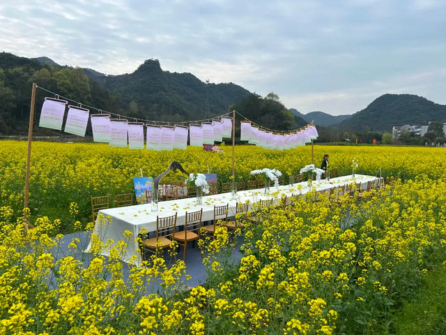 2026浦江杭坪花朝季启幕 清明小长假邀您共赴花海之约