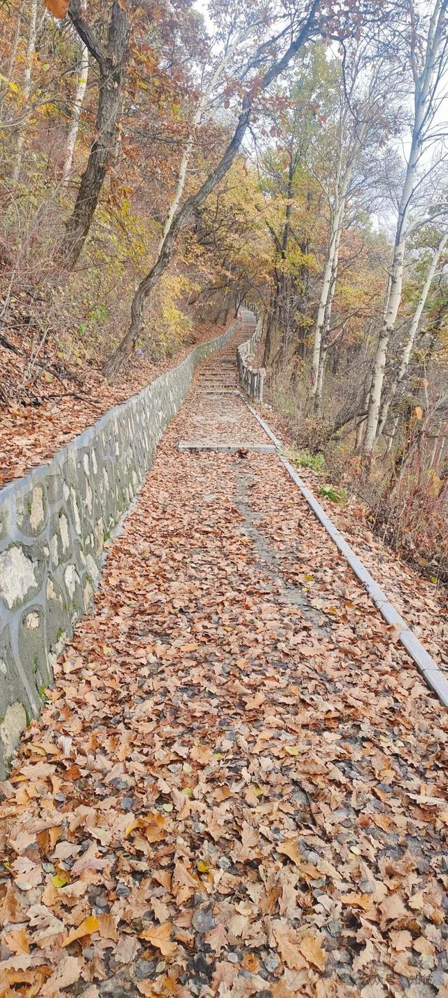 终于还是认识了天峻山的真面目 作者:马青山