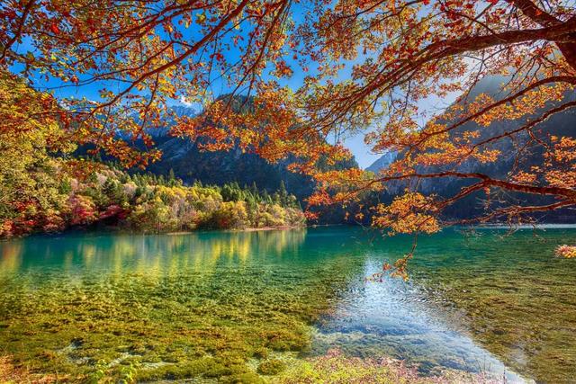 九寨沟的网红烤肠,打了多少景区的脸?