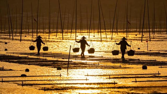 春节返程 ， 一场“反着来”的聪明旅行2026年