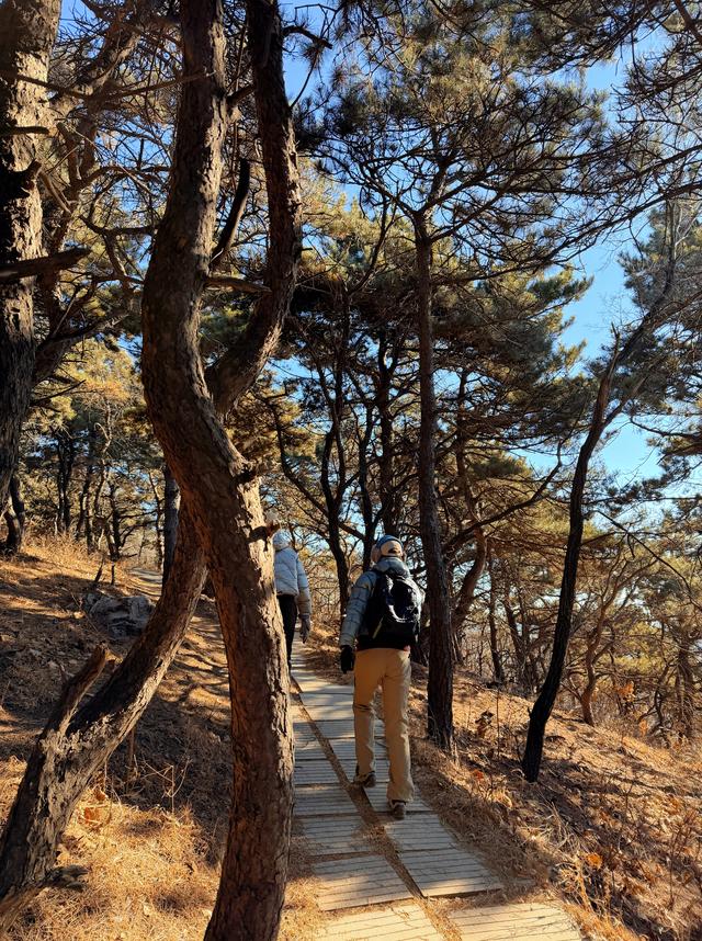 冬季的山才是真正的山​简洁而纯粹……