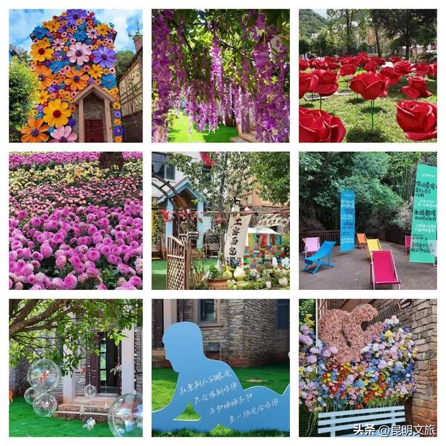 出发！“宝藏猎人”打卡、寻宝、拾鲜行动线路→