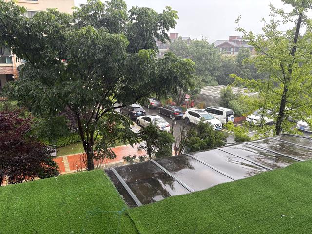 百里杜鹃雨中的回想