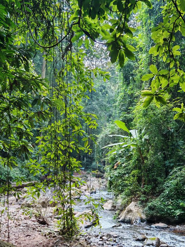 侧耳听鸟语，放眼觅花魂——游勐远仙境