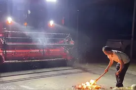 27岁小伙卖掉轿车，花18万买收割机，在四省收割，半个月收入4万图片