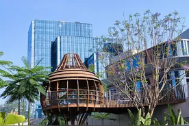 深圳10家世界500强公司，资产合计33万亿元，负债合计27万亿元图片