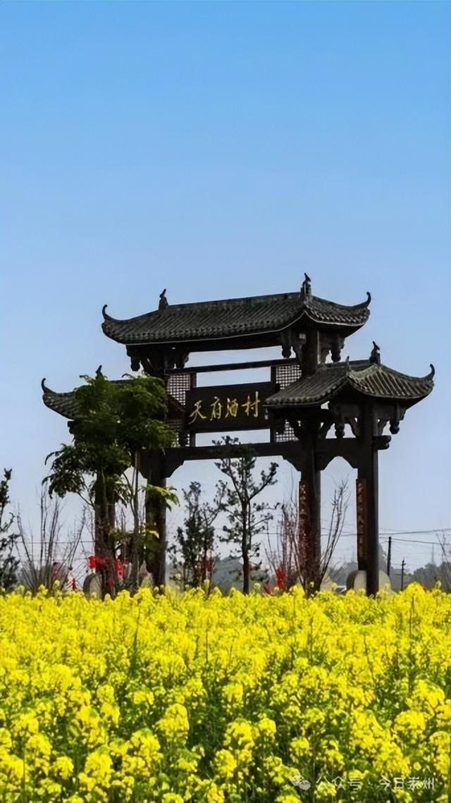 月是蜀州明——国庆中秋出游，一条攻略，玩转崇州！