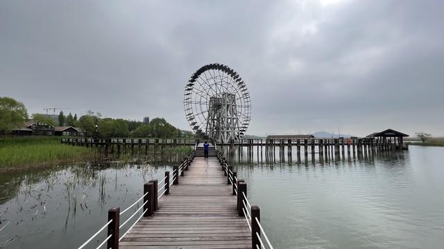 太湖湿地开挂了！花海美人令上线，熊猫萌娃+古风江湖耍事多到爆