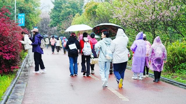 桂林：20000名徒步爱好者漫步美丽的桃花江畔！