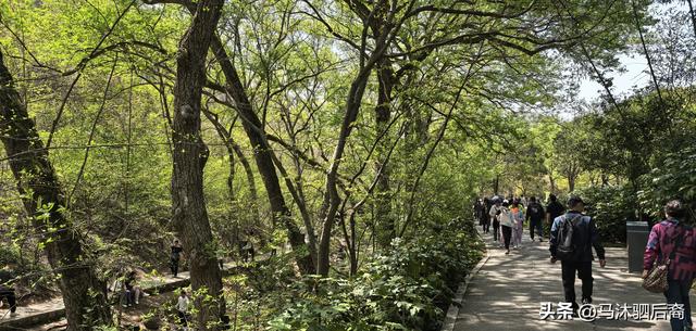 一篇文成就一座山：琅琊山、醉翁亭，我来也