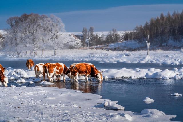 1月-2月，冬日淡季适合去的6个目的地，风景治愈，没有城市喧嚣