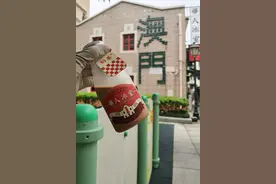 澳门一日游攻略，去澳门需要换澳币吗？图片