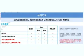刚刚查了一下自己的征信报告图片