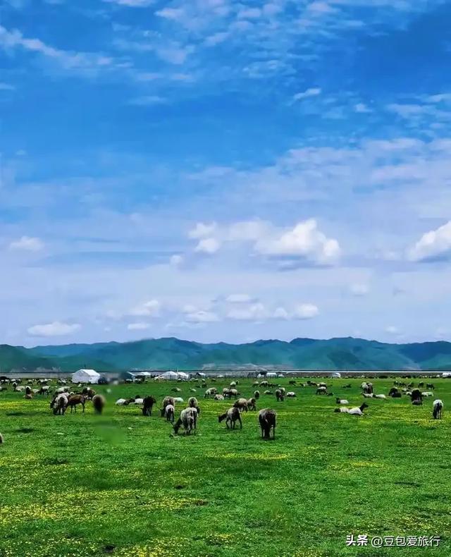 甘南慢行记——草原、寺庙与秘境,一场不走回头路的灵魂之旅