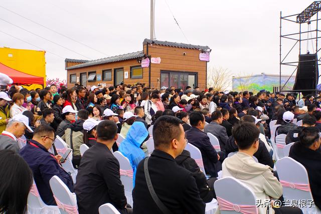 醉美桃花源启幕 秦安共赴春日盛宴