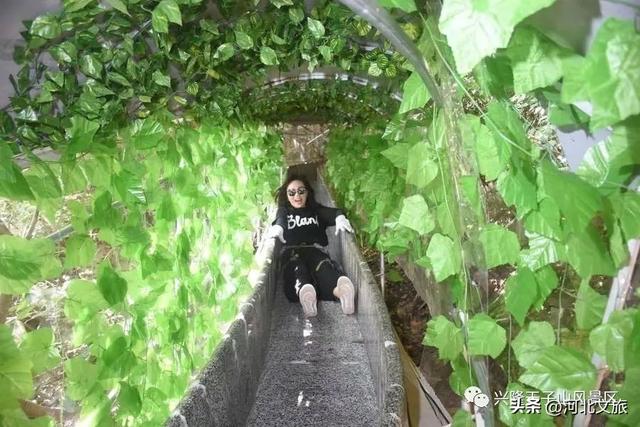 云峰溪谷氧生地，龙脉太宗天子山