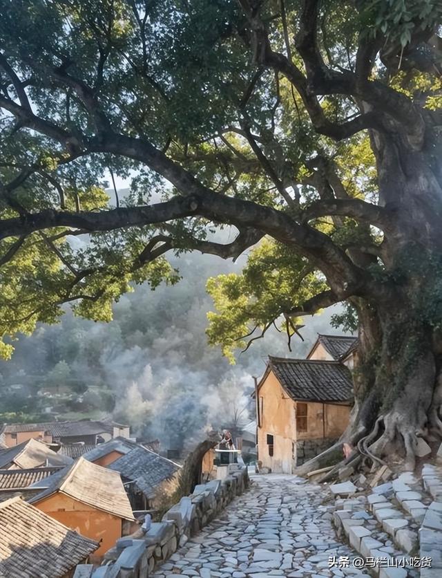 浙江旅游，打卡松阳|藏在浙南的小众秘境美景！