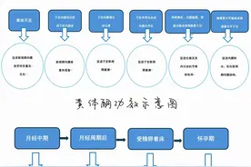 女性健康的“得力助手” ——黄体酮、地屈孕酮图片