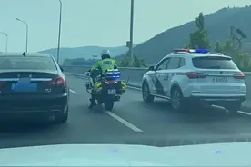 3只狗狗误上高架，济南交警暖心护离图片