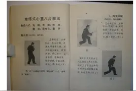 心意六合拳 单练式 鸡腿 龙腰 熊膀 鹰捉 虎抱头图片