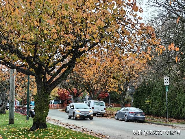 温哥华游记（五）