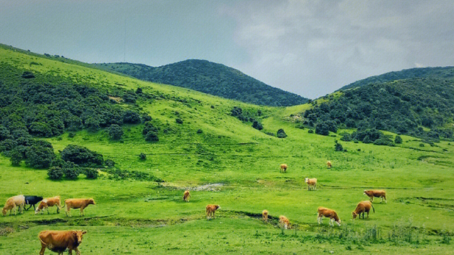 大理鸟吊山反转惊人，网红宣传后拒游客，保护与流量的博弈