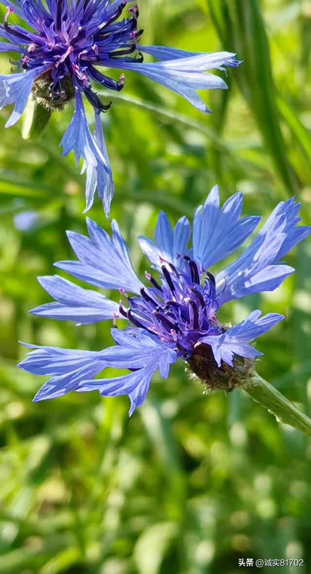现实版的背信弃义的人，竟然挖了朋友的墙角