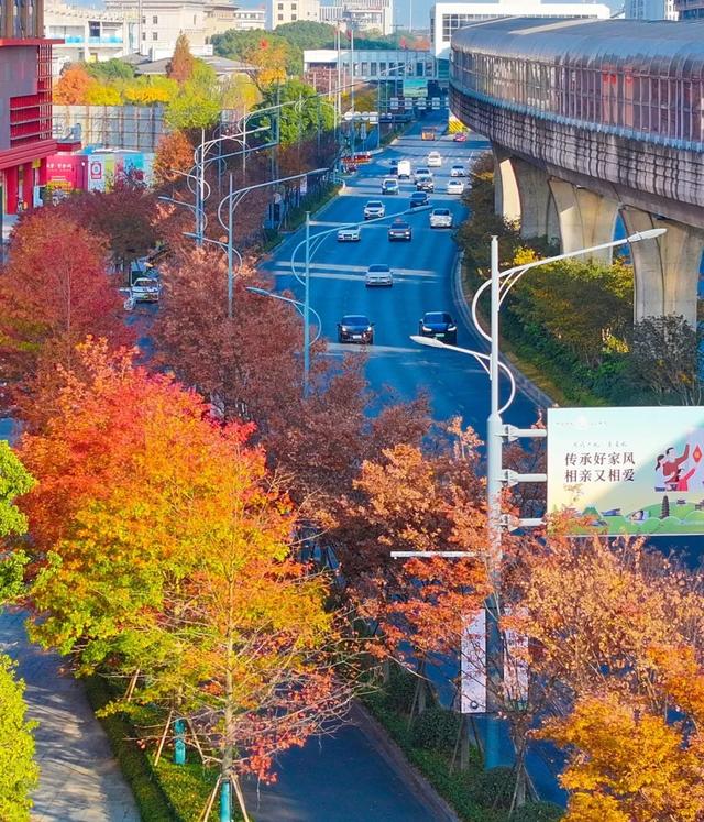 冬日金东:斑斓未尽 山水半酣