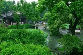 雨中的苏州园林，才是很多人心中的江南！图片