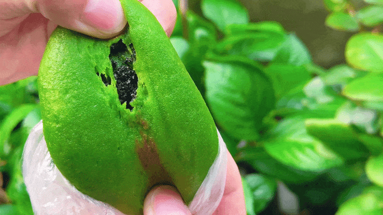 若你偏爱江南的温柔春色，就来常熟遇见美好