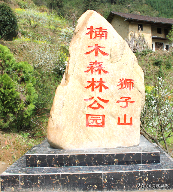 多彩两江，深山里的彩色诗行（散文诗）