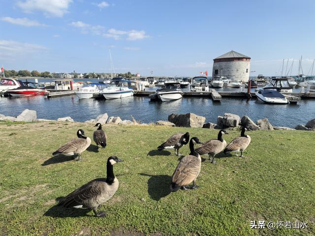 2025加拿大之旅日记(10)——船游千岛湖经金斯顿到多伦多