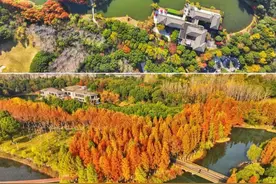 苏州这些地方无需门票，说逛就逛！图片