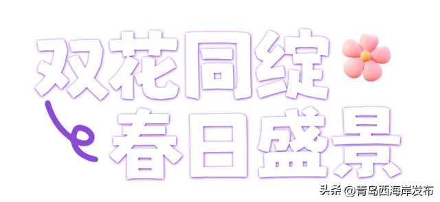 杜鹃花免费送！来西海岸赏花海、看演出！