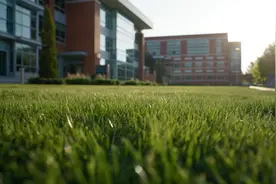 在产业一线培养更多大国工匠——代表委员热议职业教育产教融合图片