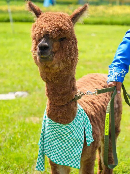 4月18日！开~园~