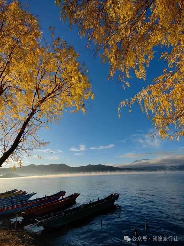 一年中最后一场华丽的秋色，鹤庆泸沽湖休闲5天游！11月底出发