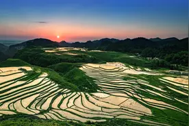 小时候想逃离故乡，长大后回故乡变成了奢望图片