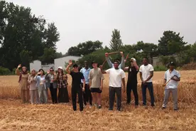 10多个国家留学生帮忙收麦，驻马店90后女孩惊呼做梦也没想到丨老家割麦了图片