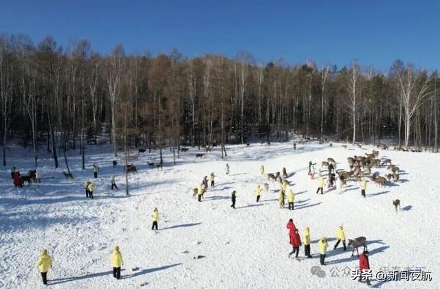 伊春五营林业局：冰雪奇境•松林课堂——“宝贝走天下”五营红松林海景区冬季研学记